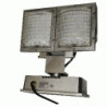 LED REFLE  (2 FAROLES) 110/220V 60W BLANCO