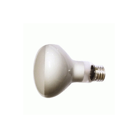 FOCO REFLECT.  E27 100W BLN TW R80 HALOGEN (75W)