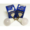 LED FOCO P/BATERIA E27-24V 12W BLANCO 6500K A60 BULB