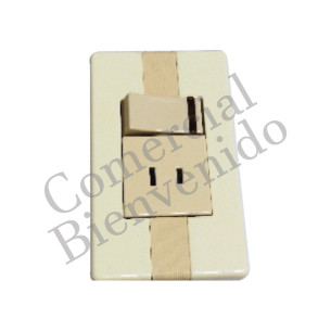 INTERRUPTOR. MIXTO CON PLACA Y LUZ PILOTO  E-027
