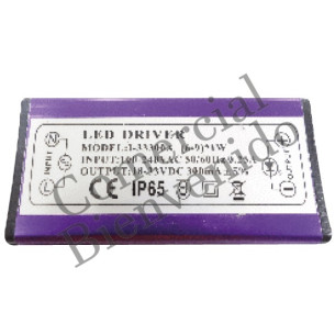 LED TRANSFORM.  10W 110-220V FLOODLIGHT  IP65