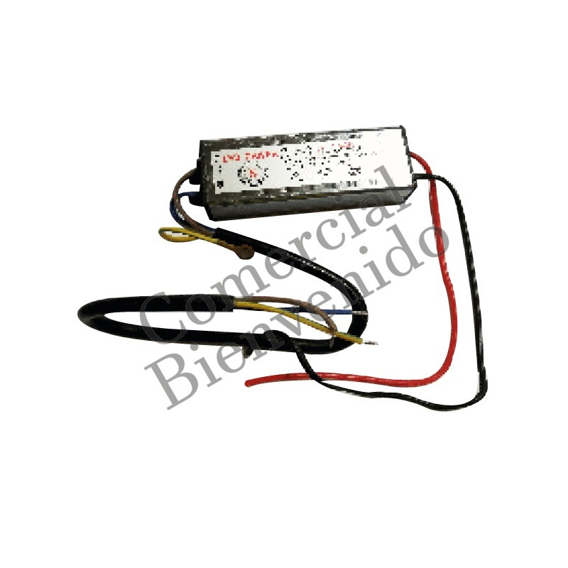 LED TRANSFORM.  30W 110/220V FLOODLIGHT  IP65