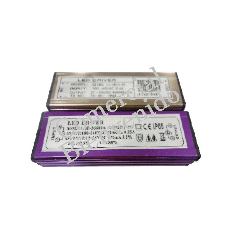 LED TRANSFORM.  20W 110/220V FLOODLIGHT  IP65