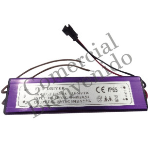 LED TRANSFORM.  30W 110/220V LAMPARA 2 FAROL IP65