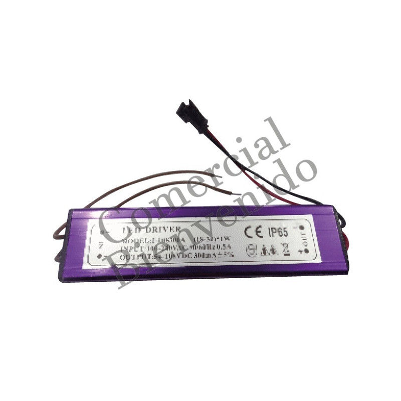 LED TRANSFORM.  30W 110/220V LAMPARA 2 FAROL IP65