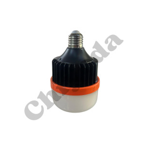 LED FOCO NORMAL E27 25W EMERG 85V-265V 2400MAH Y3825 TW