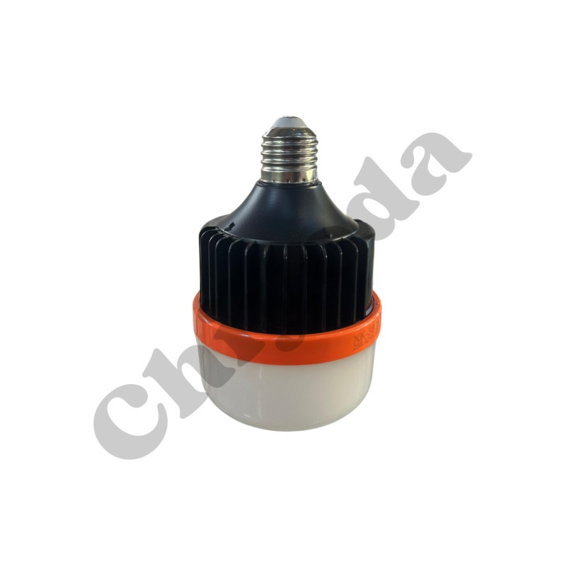 LED FOCO NORMAL E27 25W EMERG 85V-265V 2400MAH Y3825 TW