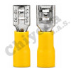 TERMINAL AISLA. HEMBRA FDD5.5-250 (10-12) AMARIX100 CHIYODA