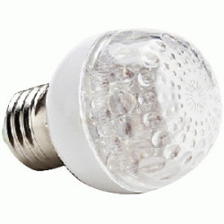 LED FOCO BOLA   BLANCO FIJO E-27  D50 1W 110/220V  TW
